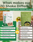 310 Nutrition All-In-One Meal Replacement Shake Powder - Plant-Based Protein Smoothie Blend w/High Fiber, Probiotics & Adaptogens - Low Carb, Vegan, Keto & Paleo Friendly - Gingerbread - 14 Srv
