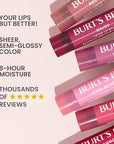 Burt's Bees Lip Tint Balm Stocking Stuffers Gifts, Long Lasting 2 in 1 Duo Tinted Balm Formula, Color Infused with Hydrating Shea Butter for a Natural Looking Buildable Finish, Red Dahlia (2-Pack)
