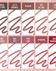 Maybelline Lifter Liner Lip Liner Pencil with Hyaluronic Acid, On It, 1 Count