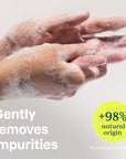 ATTITUDE Foaming Hand Soap, EWG Verified, Plant and Mineral-Based Ingredients, Vegan and Cruelty-free Personal Care Products, Lemon Leaves, 10 Fl Oz