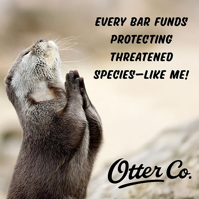 Otter co. Solid Shampoo for Color Treated Hair – Keratin & Argan oil – Swimmers Shampoo Anti Chlorine – Coconut milk, Jojoba oil, Ginger, Green Tea, Rosemary – Vegan, Sulfate Free – USA Made