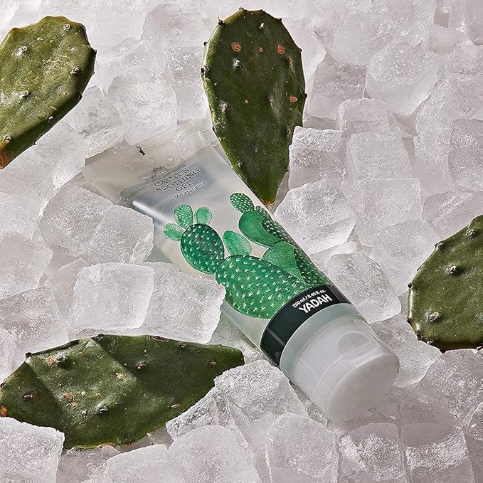 YADAH Cactus Soothing Gel (3.7fl oz) - Sunburn Relief,After Sun Care,Calm, Cool & Soothe Irritated Skin, Face Redness. Korean Skin Care. 95% Cactus Extract, Vegan.