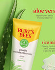 Burt's Bees Gentle Cream Cleanser with Aloe for Sensitive Skin, 98.9% Natural Origin, 6 Ounces