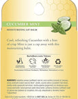 Burt's Bees 100% Natural Origin Moisturizing