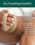 Ecotools dry body brush, cruelty-free