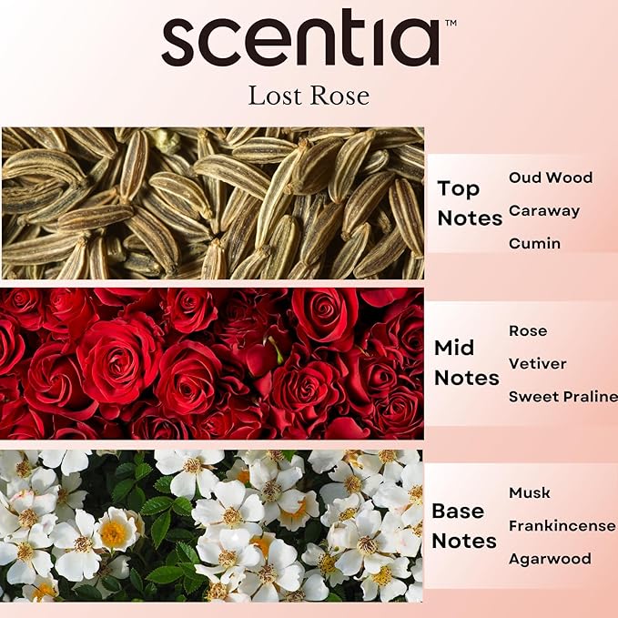 Scentia Hotel Diffuser Oil Inspired by Fairmont Hotel Scent - 20 mL 0.67 fl oz - Fragrance Oil Blend Rose, Oud Wood & Clove Notes for Aromatherapy Diffusers Humidifiers - Lost Rose, Thanksgiving Gift