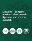 Standard Process Ligaplex I - Whole Food Supplement, Manganese Supplement, Bone Health and Bone Strength, Joint Support with Phosphorus, Shitake, Calcium Lactate, Beet Root and More - 150 Capsules