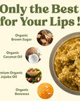 Earth's Daughter Organic Brown Sugar Lip Scrub 0.7 oz - USDA Organic Lip Exfoliator Scrub for Dry Lips - Fair Trade, Brown Sugar, Jojoba Oil, Beeswax, Coconut Oil - Scrubber Exfoliator