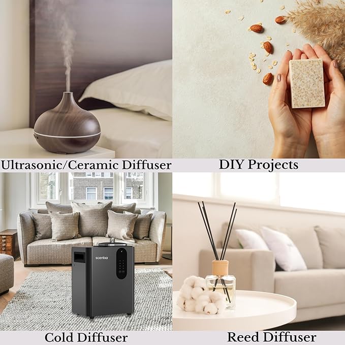 Scentia Hotel Diffuser Oil Inspired by The Delano Beach Club Hotel Scent - 500 mL 16.9 fl oz - Essential Oil Blend Orange, Green Tea for Aromatherapy Diffusers - California Breeze, Thanksgiving Gift