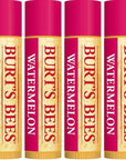 Burt's Bees 100% Natural Origin Moisturizing Lip Balm, Watermelon, 4 Tubes