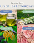 Green Tea & Lemongrass Aroma Oil, Essential Oils Blend for Diffusers and Scent Machines, Citrus, Floral & Green Notes, Aromatherapy, Cold Air Diffuser Compatible, 300 mL