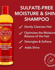 Creme of Nature Argan Oil Shampoo, Moisture & Shine Shampoo, Sulfate Free Hair Care Formula, Nourishes, Hydrates, Detangles, 12 fl. oz.