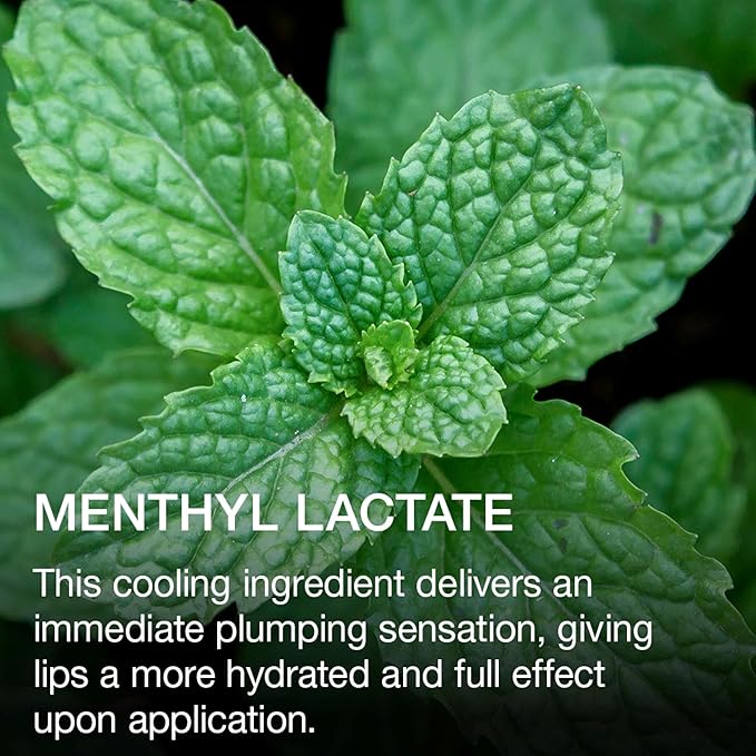 Ogee Beyond Clean Lip Gloss - Certified Organic Lip Gloss for Women - Effortlessly Plump, Hydrate & Add High-Shine Color, Anemone - Rusty Pink Shimmer