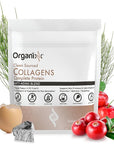 Organixx Collagen Peptides Powder with Vitamin C, Types I, II, III, V, X Hydrolyzed Collagen, Hair, Nail, Skin, Bone & Joint Health, Aging Support, Clean Sourced, Gluten Free, Unflavored, 15 Servings