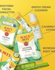 Burt's Bees Gentle Skin Care To-Go Set, Includes Cleanser, Towelettes, Lotion and Sheet Mask, Travel Size Facial Skin Care Products for Sensitive Skin, Natural Origin, 1 Gift Set