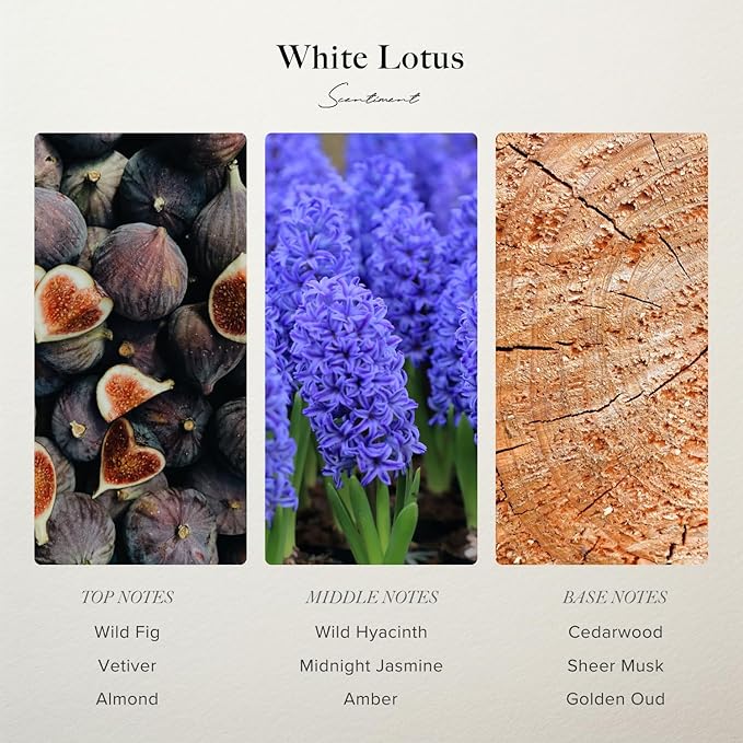 Scentiment Diffuser Oil - White Lotus | Aromatherapy Home Fragrance | Inspired by Four Seasons® Hotel | Luxurious Scent with Notes of Wild Fig, Vetiver, Almond, Sandalwood (500 mL)