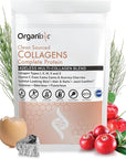 Organixx Collagen Peptides Powder with Vitamin C, Types I, II, III, V, X Hydrolyzed Collagen, Hair, Nail, Skin, Bone & Joint Health, Aging Support, Clean Sourced, Gluten Free, Unflavored, 20 Servings