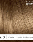 Clairol ColorStrong Permanent Zero Ammonia Hair Dye, 6.3 Light Golden Brown - Cairo Hair Color, Pack of 1