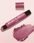 Burt's Bees Shimmer Lip Tint Set, Tinted Lip Balm Stick, Moisturizing for All Day Hydration with Natural Origin Glowy Pigmented Finish & Buildable Color, Fig (4-Pack)