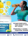 Dr. Berg Zero Sugar Hydration Keto Electrolyte Powder - Enhanced w/ 1000 mg of Potassium & Real Pink Himalayan Salt (NOT Table Salt) - Lemonade Flavor Hydration Drink Mix Supplement - 100 Servings