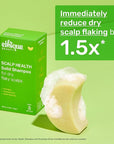Ethique Scalp Health Shampoo Bar for itchy, dry, flaky scalps with Oatmeal - Plastic-Free, Vegan, Cruelty-Free, 3,88 oz - Formerly Heali Kiwi