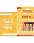 Burt's Bees You're the Balm Lip Balm Pack, With Beeswax, Wild Cherry, Watermelon and Vanilla Bean Flavors, With Responsibly Sourced Beeswax, Tint-Free, Natural Origin Lip Treatment, 4 Tubes, 0.15 oz.