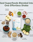 310 Nutrition All-In-One Meal Replacement Shake Powder - Plant-Based Protein Smoothie Blend w/High Fiber, Probiotics & Adaptogens - Low Carb, Vegan, Keto & Paleo Friendly - Vanilla Creme - 28 Srv