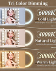 Vanity Mirror with Lights,Makeup Mirror with 17 Dimmable LED Bulbs, 3 Color Lighting Modes Detachable 10X Magnification Mirror Touch Control, 23.6X19,7 inch, White