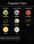 Golden Diffuser Fragrance Oil, Opulent Resort-Style Aroma,  Essential Oils Blend for Home, Ultrasonic & Waterless Diffusers  | Bergamot, Jasmine & Lemongrass |  4.05 fl oz, 120 mL