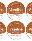 Vaseline Lip Balm 20g/0.705oz (6X20g/0.705oz, Original)