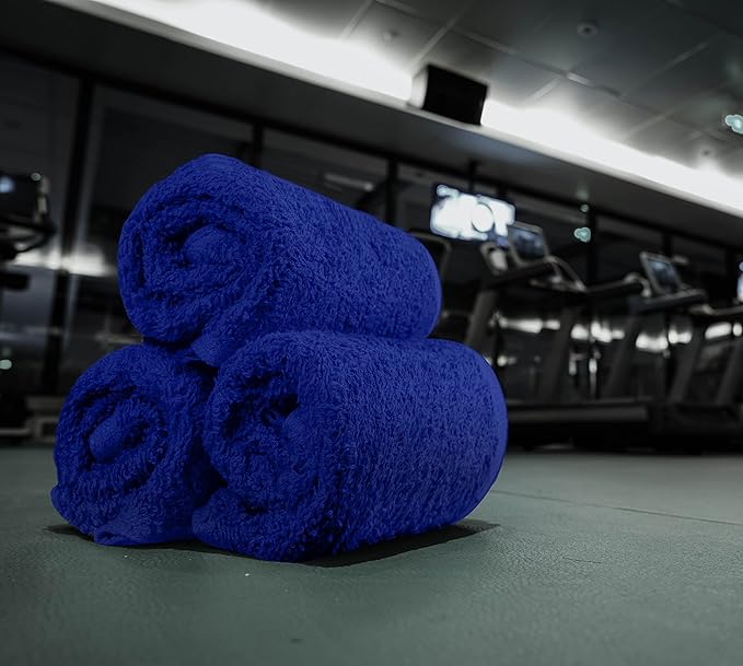 Utopia Towels 24 Pack Cotton Washcloths Set, 100% Ring Spun Cotton, Premium Quality Flannel Face Cloths, Highly Absorbent and Soft Feel Fingertip Towels, Royal Blue