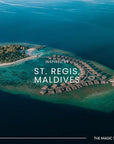 The Magic Scent Mandarin Blossom Diffuser Oil - Hotel & Home Luxury Scents Inspired by St. Regis Hotel, Maldives - Diffuser Oil Scents for Home Designed for Use in All Diffusers - 8.5 fl oz, 250 mL