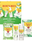 Burt's Bees Gentle Skin Care To-Go Set, Includes Cleanser, Towelettes, Lotion and Sheet Mask, Travel Size Facial Skin Care Products for Sensitive Skin, Natural Origin, 1 Gift Set