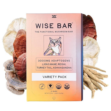 Wise Bar, Adaptogen Mushroom Bar Variety Box 12 Count , 3 Lemon Ginger, 3 Mocha Coconut, 3 Peanut Banana, 3 Cinnamon Turmeric | Functional Mushrooms and Adaptogens Bar | Organic Nutrition Energy Bars, Vegan, Gluten Free