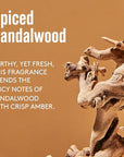 Barrel and Oak - Spiced Sandalwood Hydrating