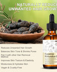Cyperus Rotundus Oil for Hair Removal, 100% Natual Cyprus Rotundus Oil Cypress Oils Hair Inhibitor, Reducing Body Hair Growth, Moisturizes & Soothes Skin, Shrink Pores, For All Skin Types, 2.02 Fl.Oz