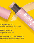 Burt's Bees Shimmer Lip Tint Set, Tinted Lip Balm Stick, Moisturizing for All Day Hydration with Natural Origin Glowy Pigmented Finish & Buildable Color, Grapefruit (4-Pack)