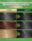 Permanent Hair Dye Gray Coverage Hair Dye PPD-Free Permanent Hair Color for Women 1B Obsidian Noir Black Natural Black
