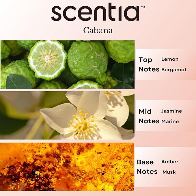 Scentia Hotel Diffuser Oil Inspired by 5-Star Hotel Scent - 20 mL 0.67 fl oz - Fragrance Oil Blend Botanical Jasmine, Bergamot & Fresh Marine Notes Aromatherapy Diffusers - Cabana, Thanksgiving Gift