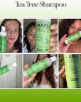 Pure Tea Tree Oil for Hair Skin and Nails - 100% Pure Undiluted Tea Tree Essential Oil with Dropper for Topical Uses Aromatherapy Diffusing and Home and Beauty DIYs - Vegan and Cruelty Free (4 Fl Oz)