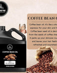 Naturevibe Botanicals Coffee Bean Oil 32 Ounces | 100% Pure and Natural | Great for Skin Care and Hair Care