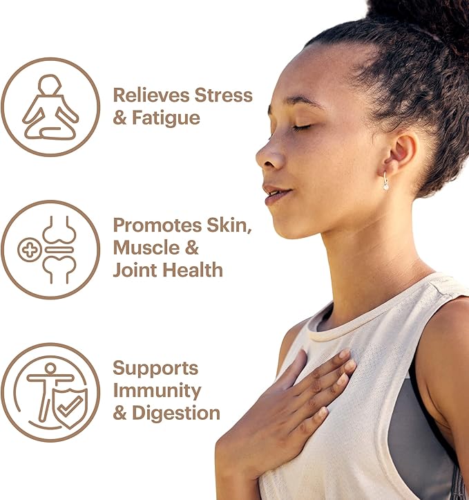 Wellthy Collagen Superfood Powder, Fights Stress & Fatigue, Cacao, Mushroom Powder - Organic Chaga & Reishi Extracts, Certified Organic Matcha, Allergen-Free & Non-GMO