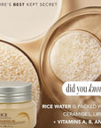 The Face Shop Rice Ceramide Moisturizing Cream - Rice Extract + Rice Bran Oil - Hydrating Targets Dryness, Brightening - Dermatologically Tested - Lightweight Moisturizer Face Cream - Korean Skin Care