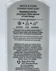 Bath and Body Works Kitchen Favorites Gentle & Clean Foaming Hand Soap, 8.75 fl. oz. (Variety, 5-Pack)