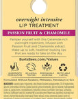 Burt's Bees Overnight Lip Sleeping Mask,