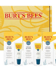 Burts Bees Rescue Lip Relief with Shea Butter and Echinacea, 100% Natural Origin, 0.35 Ounces