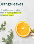 ATTITUDE Foaming Hand Soap, EWG Verified, Plant and Mineral-Based Ingredients, Vegan and Cruelty-free Personal Care Products, Orange Leaves, 10 Fl Oz
