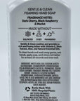 Bath and Body Works Kitchen Favorites Gentle & Clean Foaming Hand Soap, 8.75 fl. oz. (Variety, 5-Pack)