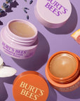 Burt’s Bees Stocking Stuffers, Moonlight Orchard Lip Sleeping Mask, With Hyaluronic Acid and Squalane Moisturizer To Instantly Hydrate Lips, Overnight Lip Mask, Lip Treatment Christmas Gifts, 0.45 oz.