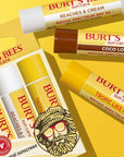 Burt’s Bees SPF 30 Lip Balm Conditioning